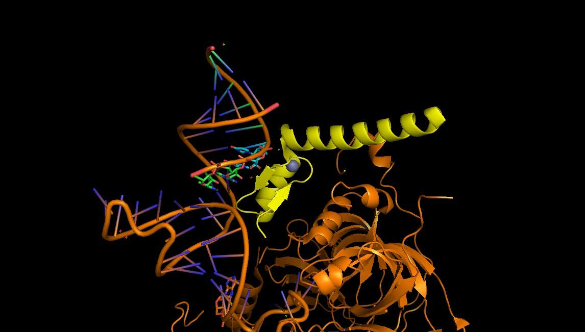 4pjo_1-2