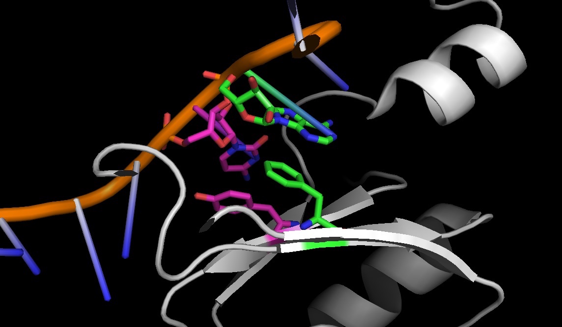 4pkd_1-2