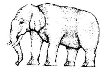 elephant2