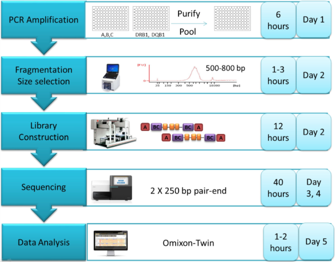 PLOS Neglected Tropical Diseases