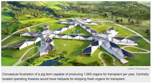 Reardon S (2015). New life for pig-to-human transplants. Nature.