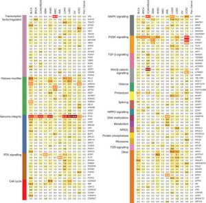 Mutational landscape and significance across 12 major cancer types. Kandoth et al (2013). Nature, 502(7471):333-339.