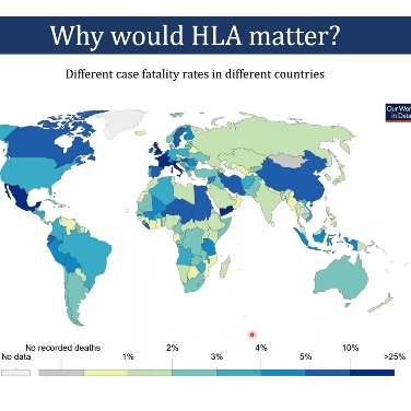 Why would HLA matter?