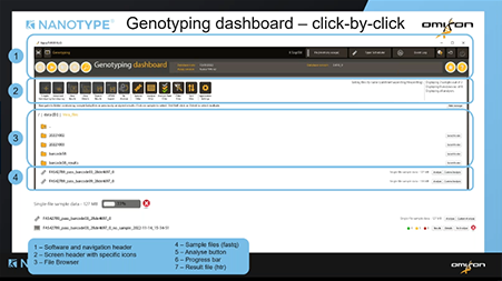 Learn the basics of the  NanoTYPE software tools: Minknow and Nanotyper.